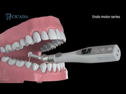 CICADA Endo Motor Series