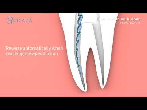 CICADA New Endo motor with apex locator 3 in 1 machine