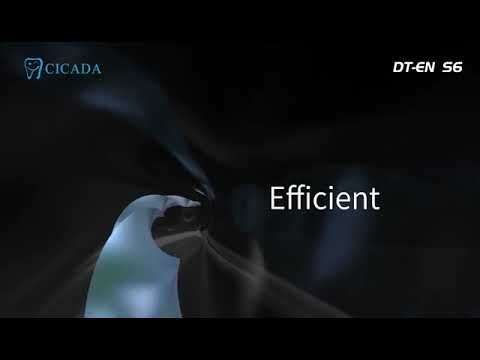 CICADA Endo Files