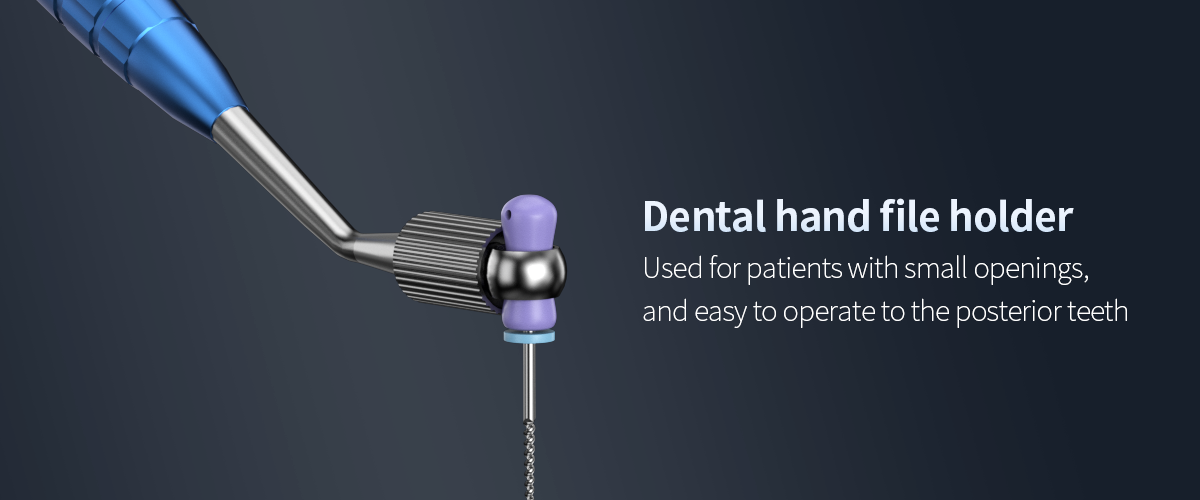 Dental hand file holder