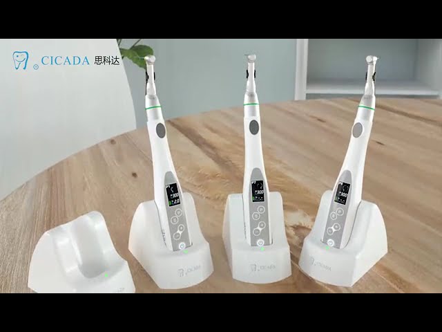 Foshan Cicada Dental Company introduction