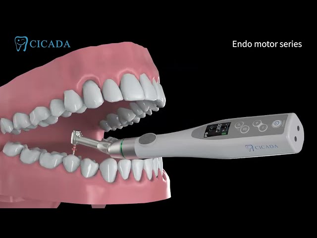 Cicada Endo Motor with Led T-Fine-II CC