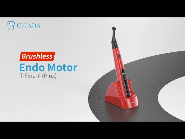 Brushless Endo Motor T-Fine-II (Plus)