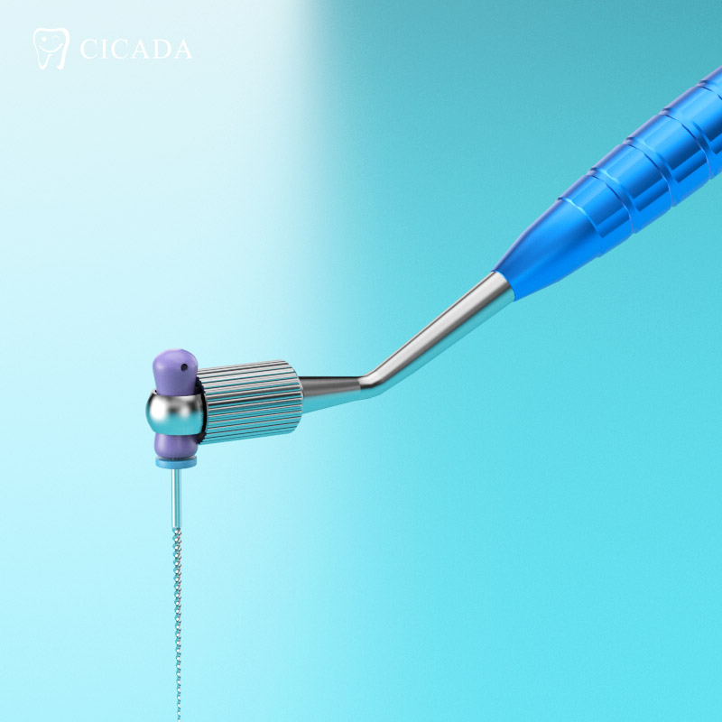Dental Hand Files Holder: A Crucial Tool for Precision Dentistry