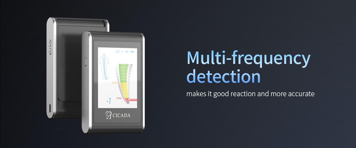 endodontic apex locator