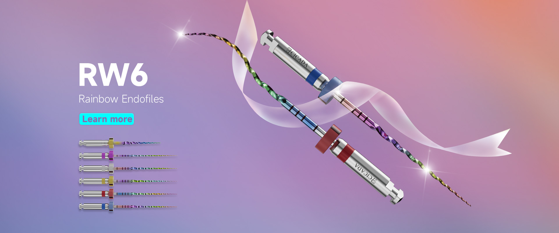 Rainbow Endo File